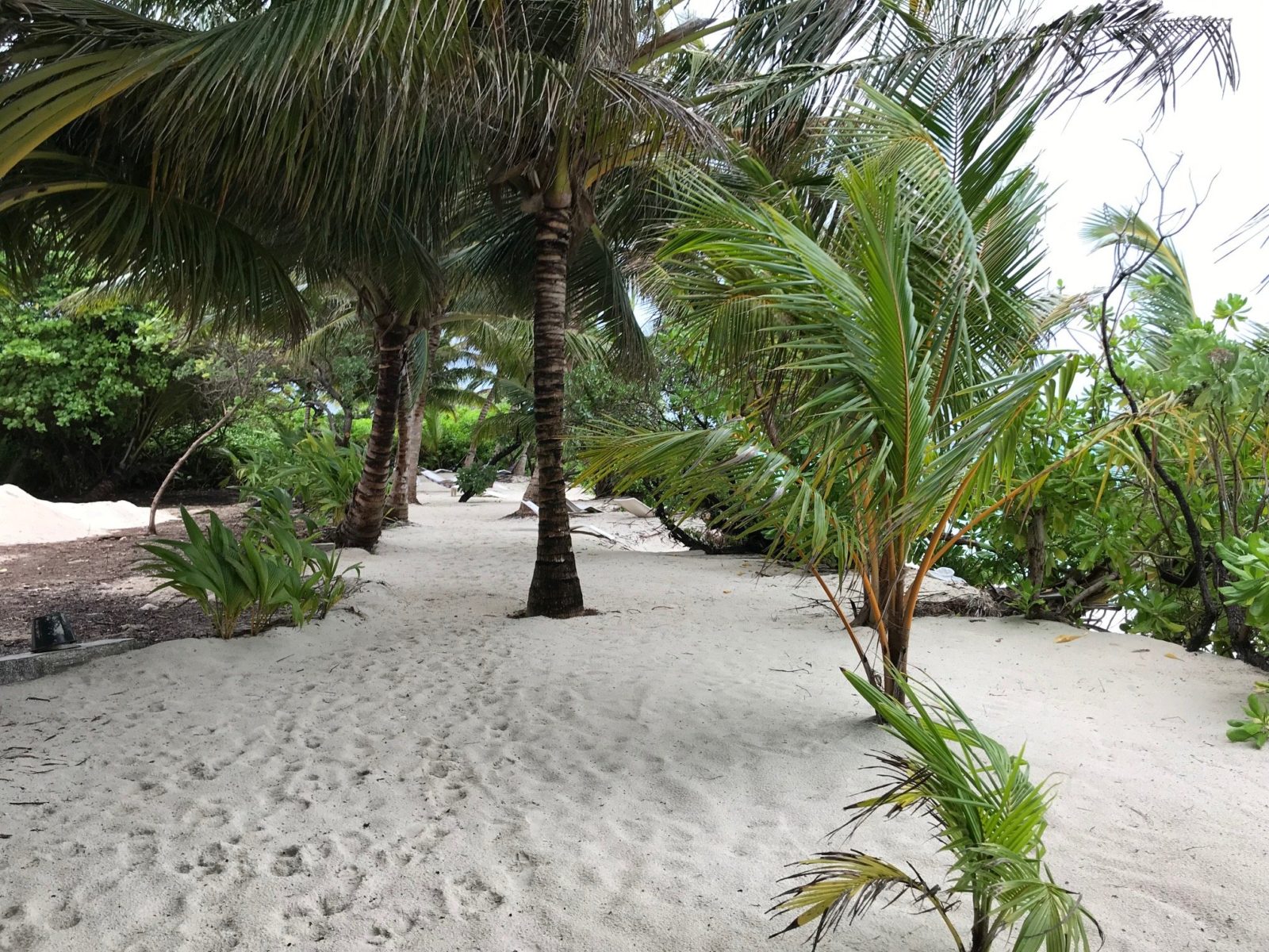 бикини пляж на острове Тодду 