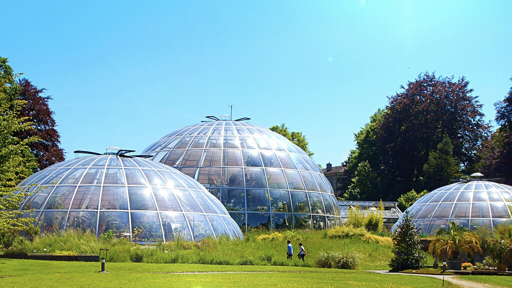 ботанический сад Цюрихского университета